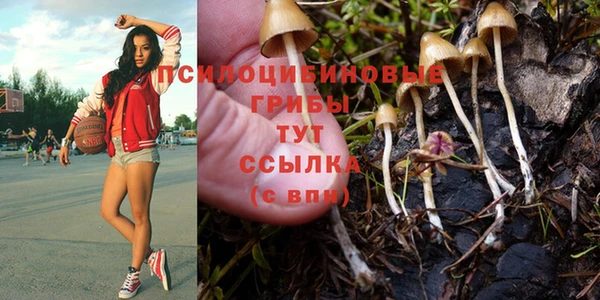 сатива Абдулино