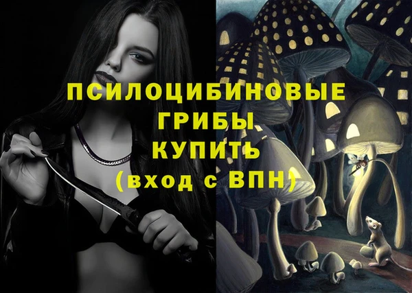 прущий лед Пересвет